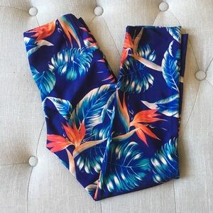 NEW RARE GOLDSHEEP Birds of Paradise Capri Legging